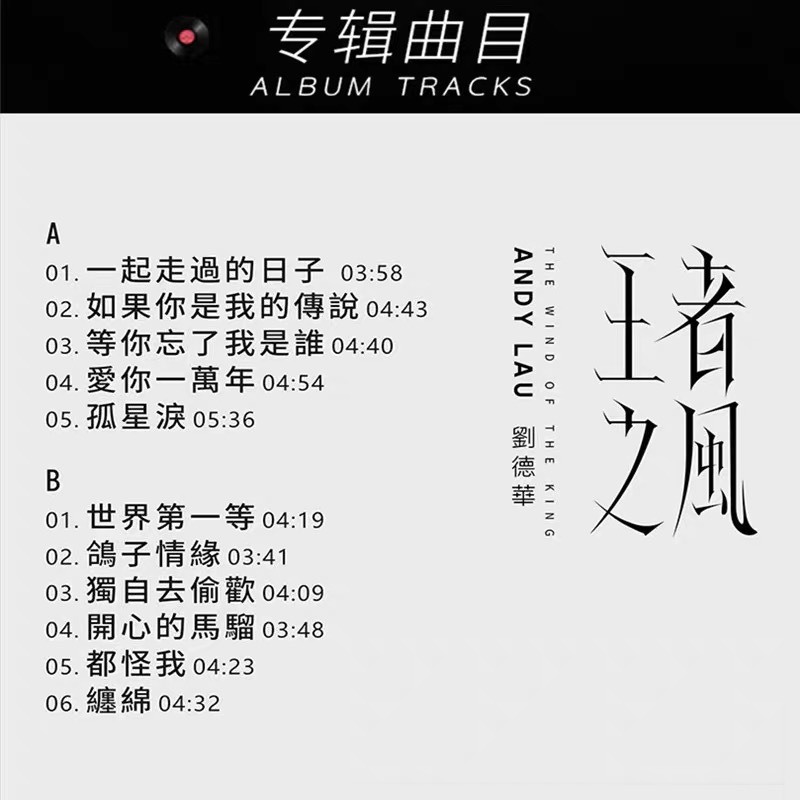 ビニールレコード蓄音機レコードビニールレコードプレーヤーディスク 12 インチ 33 rpm LP レコードレトロレコードプレーヤービニール|undefined