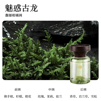 Car Perfume Aromatherapy Perfume Car Light Aromatherapy - charming-cologne