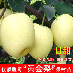 �S����������tơ��޽ӹ������������ �ϱ����m�ϷNֲ����Y��