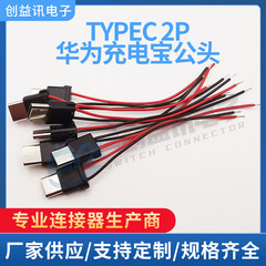 Type-c雄ヘッド抵抗付きコンデンサtype-c華為プラグ華為充電宝専用雄ヘッド