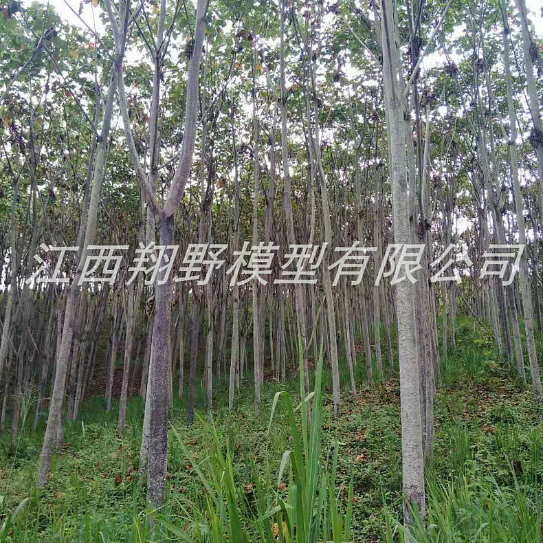 商品发布-1688.com