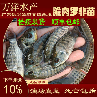 �_���~���¼������Ե�ˮ�Bֳ�ش��^�p�~����һ̖���Դ����_���~��