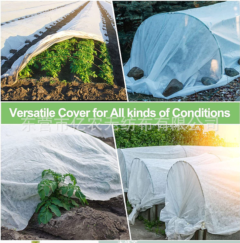 O1CN01MPKA601bWgVh8mF4P_!!2924243473-0-cib.jpg?__r__=1722235738628