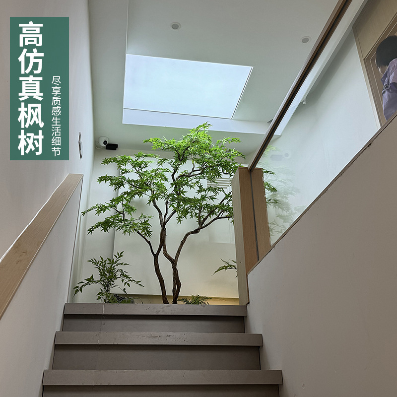 緑のカエデの木をシミュレーションします。|undefined