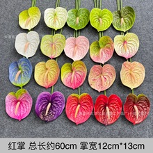 单枝手感红掌仿真花大火鹤3D胶片婚庆婚礼堂假花地排路引景布置