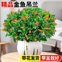 ���~���m���Ԏ������҃��̨�Gֲ���ﶬ���B���ļ��ͺ��_��������