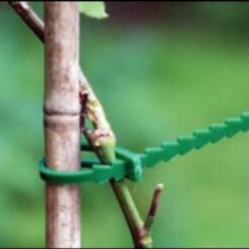 Suministro de jardín de plástico correa de amarre de la correa de unión de jardín de la correa ajustable de múltiples especificaciones y tamaños