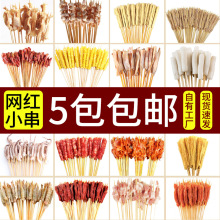 批发手把小串半成品肉串小串商用夜市烧烤食材大全炸串钵钵鸡食材