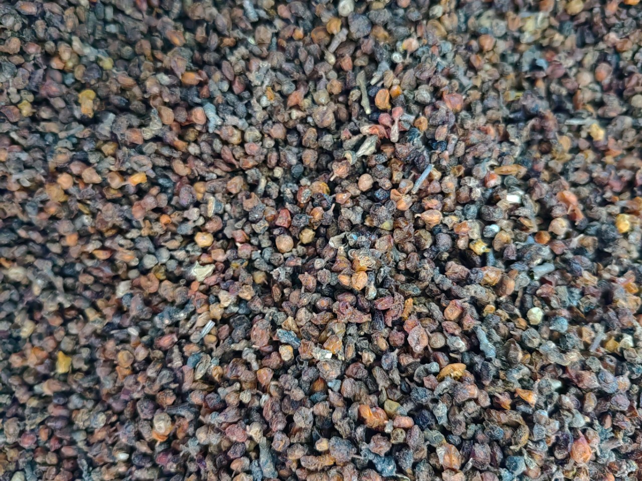 Sea Buckthorn Dried Leaf Tea (Hippophae rhamnoides) — Xinjiang & Inner Mongolia Herbal Tea 500g quality and texture