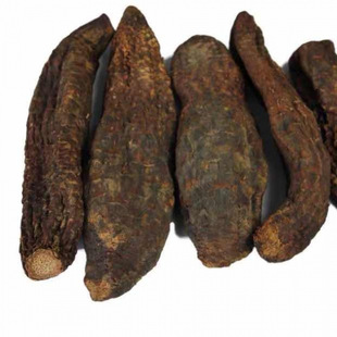 ��ɐ���½�ɳĮ����ݾ��ϴ���S�����lһ�����l����վ�羳