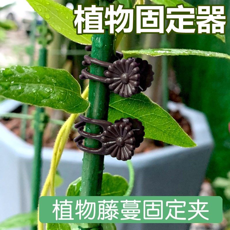 ★★덩굴고정클립 [50개입]