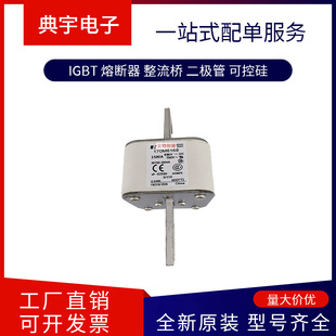 Fuse 170m6195 6196 6197 6198 6199 6200 6201 Complete Models