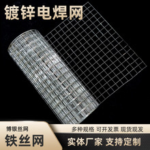 镀锌钢丝网园林圈地网花木围栏网镀锌钢丝网住宅圈玉米围地铁丝网