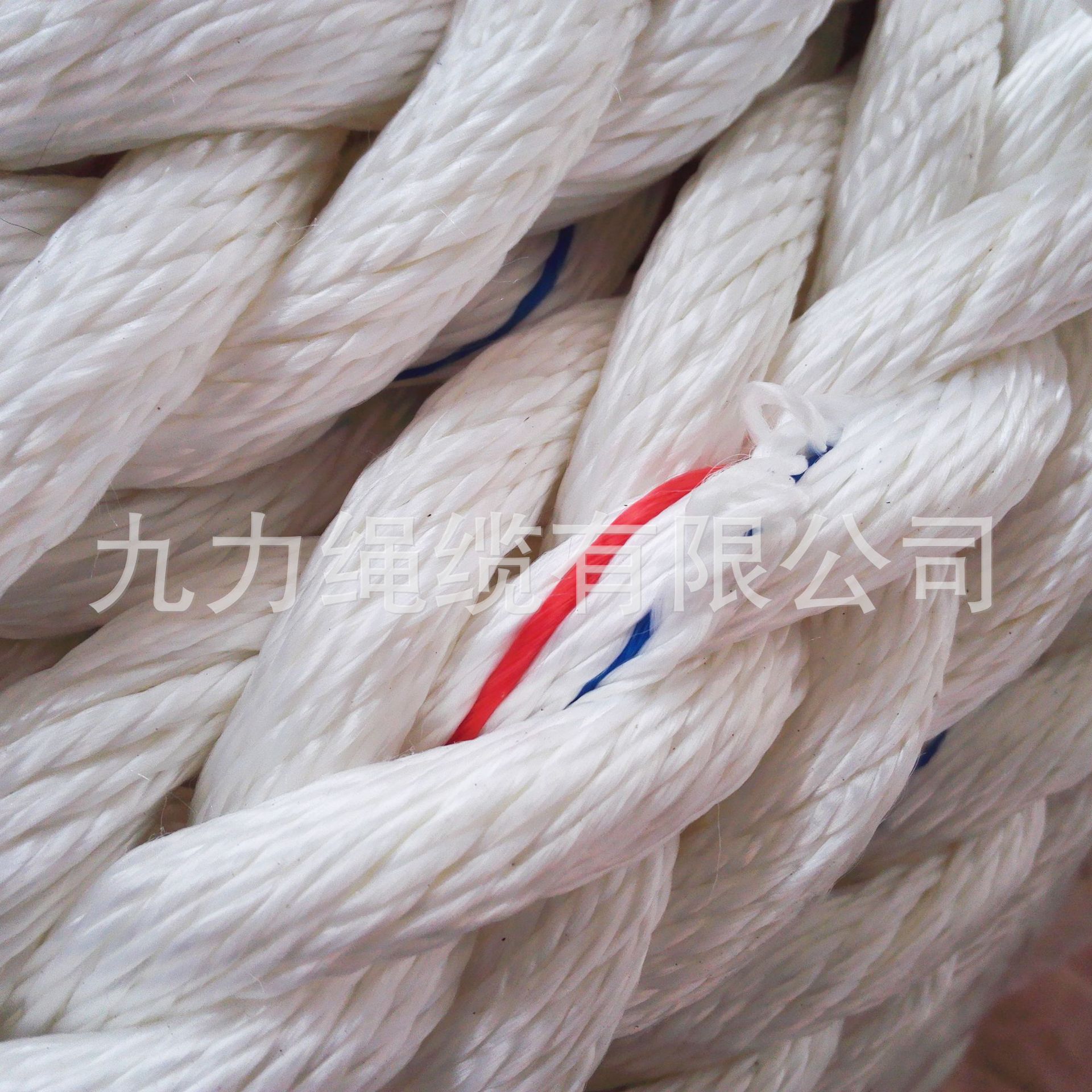 丙纶长丝12股缆绳 船用绳  系泊绳 直径3mm~300mm 带红蓝标记线