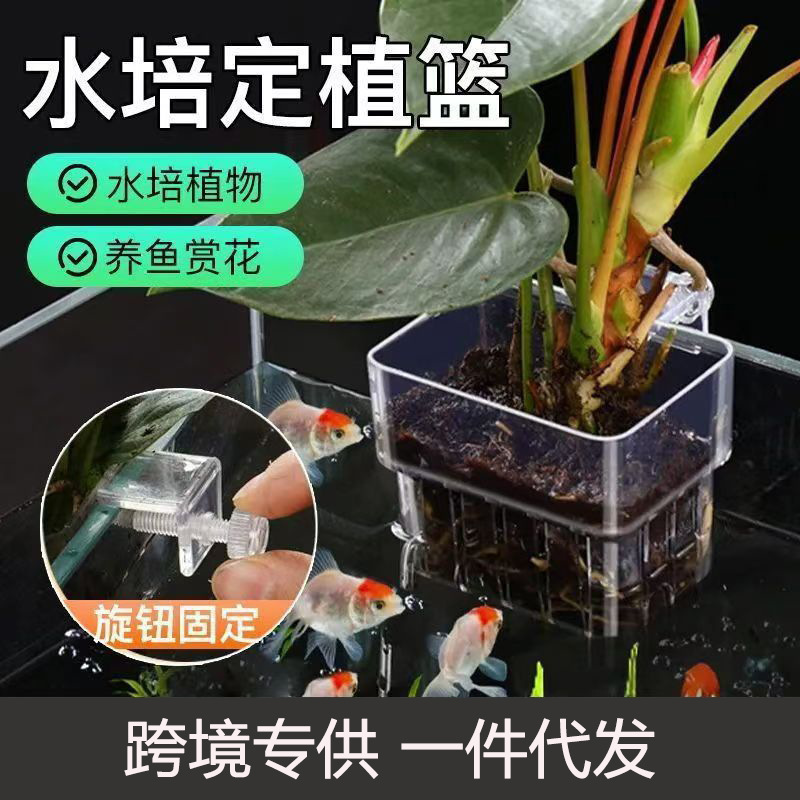 鱼缸水培植物篮家用水草种植杯壁挂式挺水植物定植篮造景鱼缸挂篮|undefined