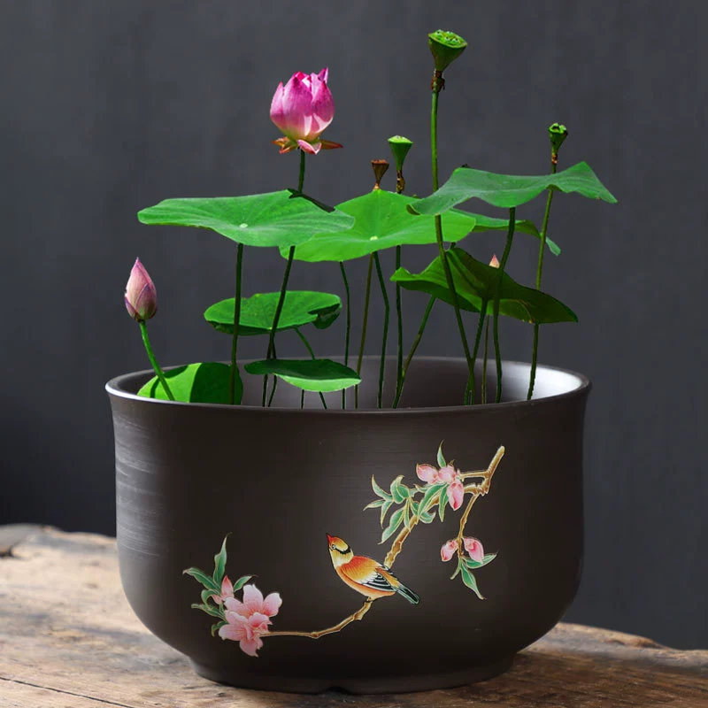 Большая керамическая фиолетовая глиняная гидропонная ваза для цветов, горшок для пенниворта, непористая ваза для водяной лилии, ваза для лотоса