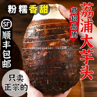 �V���������r�����^10������С���^��Ş�����ڙ�����F��ë���^5