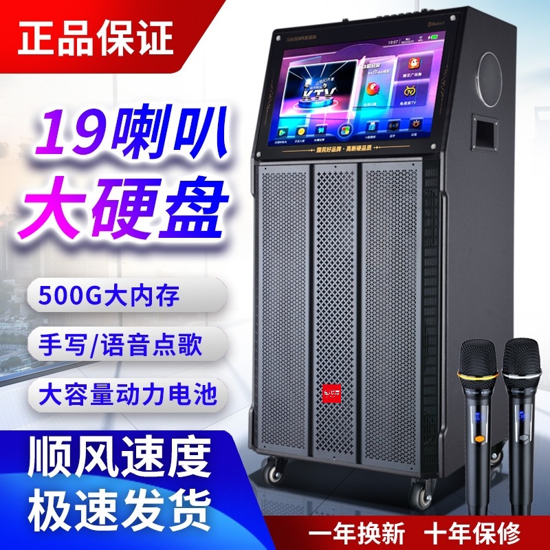 Outdoor Square Dance Audio K-song with Display Wireless Dual Microphone Home Mobile KTV All-in-One