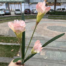 3�^С�����z�Sβ����c�廨�b��滨��Ȼϵ���¼ҾӔ[�Ő۠��m