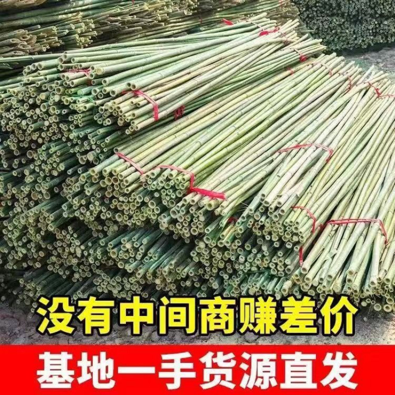 竹竿菜园搭架蔬菜黄瓜番茄豆角架杆竹篱笆栅栏小竹子细竹竿爬藤架|undefined