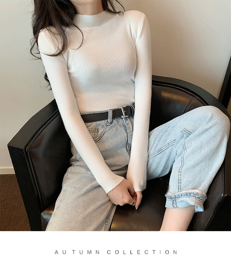 Women's Sweater Long Sleeve Sweaters & Cardigans Casual Simple Style Solid Color display picture 5