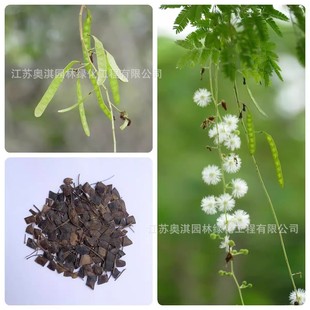 ���u���Ӵ̷N�� �G�h�N�� �����y�Ϛg�N�� �ջh��N�� �G�h�ʷN��