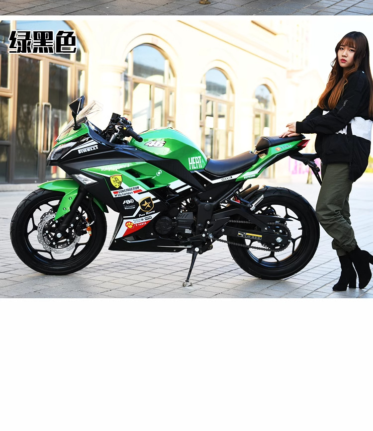 Factory Direct Sales of Small Ninja High-Speed Electric Motorcycles, Heavy-Duty Motorcycles, High-Power Efi Motorcycles, and Ground-Level Racing Bikes