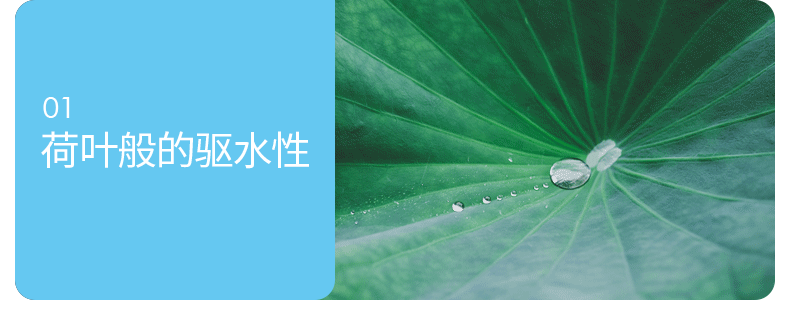 Car Glass Oil Film Remover, Front Windshield Anti-Fog Cleaning Agent, Car Window Wiper Oil Film Remover