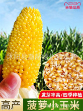 }׷NӳóԵˮSС׷NѴﴺļ