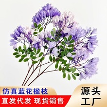 新款仿真蓝花楹树枝工程绿植假花垂吊庭院装饰蓝紫色婚庆摄影道具