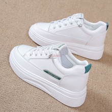 2025βԭγβ؛СЬŮɸ