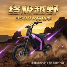 ���ڵ綯ԽҰ��3500w48v���˵綯Ħ�г�����ԽҰ��electric motor