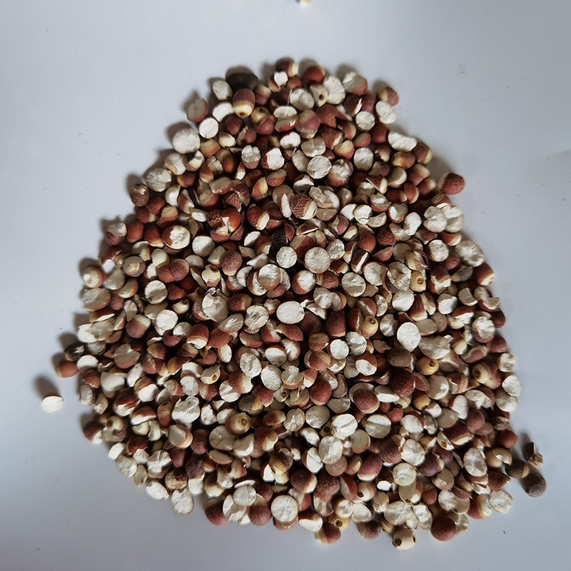 批发肇庆芡实干货大颗粒12MM圆粒芡实鸡头米新鲜煮粥汤半开芡实米