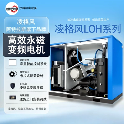 Lingefeng Loh Series Oil-Cooled Hava kompressorları