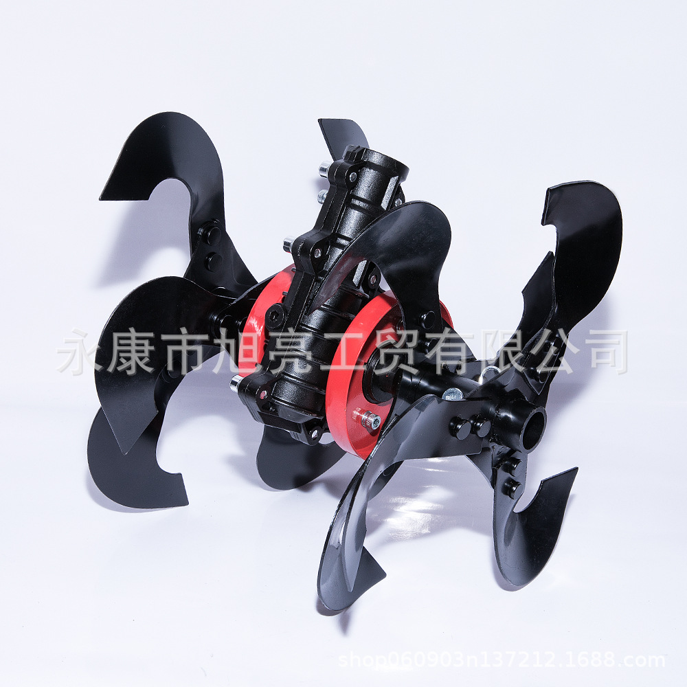 IMGL2668