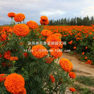 �f�۾շN���ͺ����N���ӿ�ȸ�ݷN���ﶬ�Nֲ�m�϶���Ļ��N�ӻ���