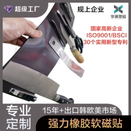 磁性板;冰箱贴;教学演示用品