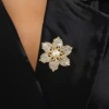 Bauhinia