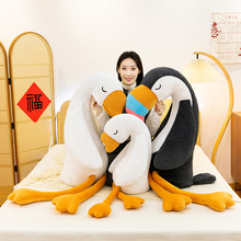 �ɐ۴���Z�����Bë�q��ߴ�����˯�X����������w�L�l�ȊA�Y��Ů