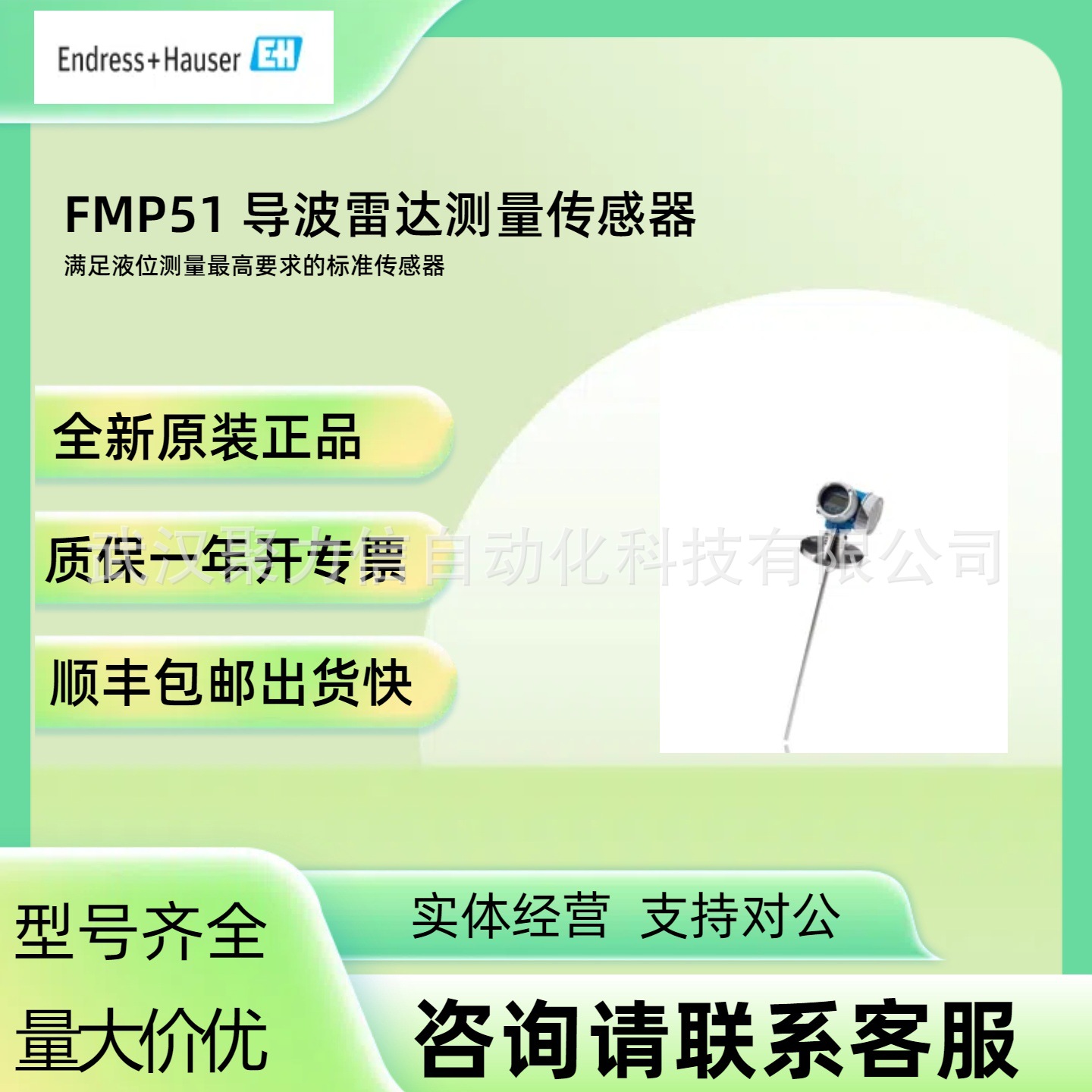 E+H恩德斯豪斯 导波雷达测量FMP51-AAGCCAACA4CRJ 全新原装正品