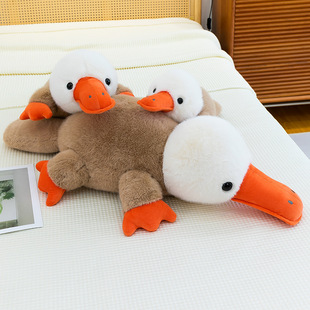 ���Q�ɐ�����Fë�q��߱���A�ȹ�����ż���|��ͯ�Y�ﲼ�������l