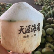 【品质】椰青海南椰青去皮新鲜椰子海南文昌2/9个装果王代发免邮