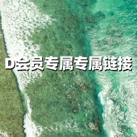会员专拍-SLD(满60元包邮)