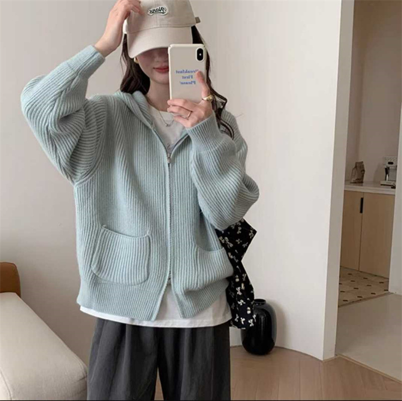 简约坑条双口袋连帽拉链毛衣外套女2025秋冬新款宽松软糯针织开衫|undefined