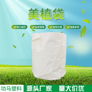 �o������ֲ��ֲ��Ӻ�Nֲ����ɫ��ֲ����̖����I�B����ͥ����ֲ