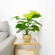 ����Gֲ��ֲ��͏d��ؾGֲ���Դ����҃��b[���٘��