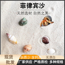 ���l�����eɰ�ľ�з�����|���~���쾰�b��õ�ɰԭ����ϴؐ��ɳ