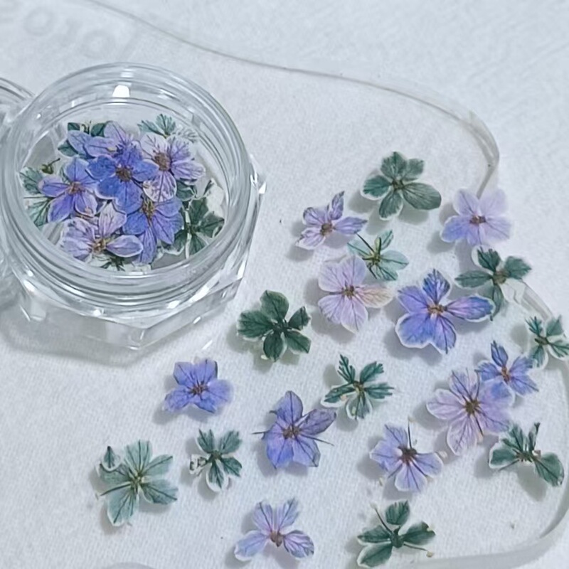 Cross-Border Hot-Selling Internet Celebrity Nail Art Monet Garden Oil Painting Small Flower Gradient Mixed Color Natural Pressed Flower DIY Materials