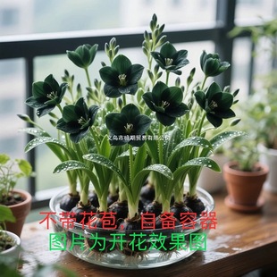 ���ܾGֲ������ˮ�����͟Ứ�ͺ��B�_����С�n�m�N���ͺ������ļ�