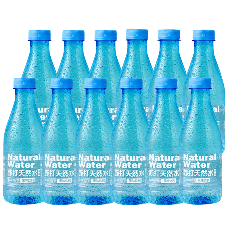 소다천연수 12병